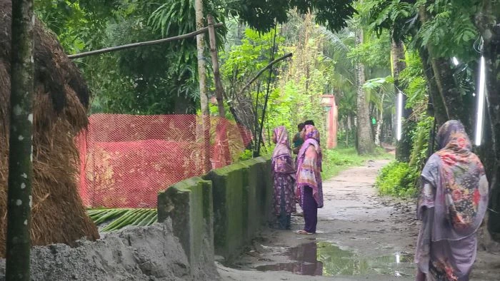 কাশারি বাড়ির কবরস্থানজুড়ে আজও বুকফাটা কান্না
